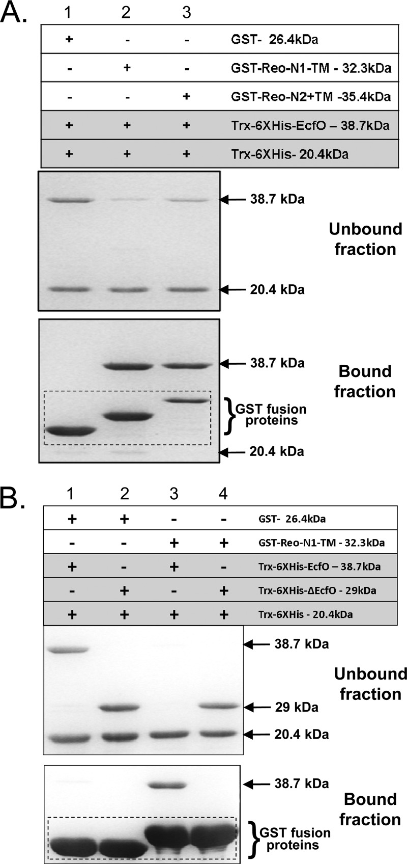 Fig 4