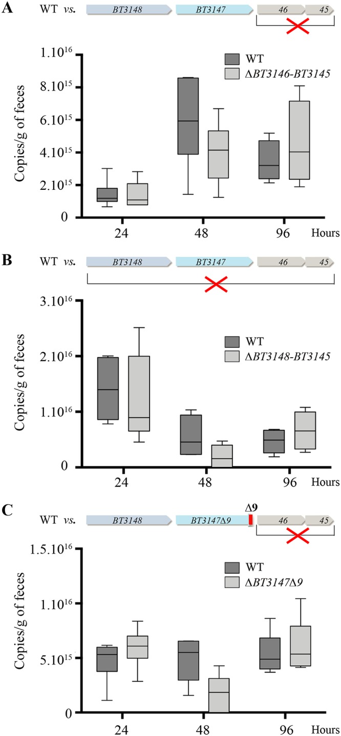 FIG 6