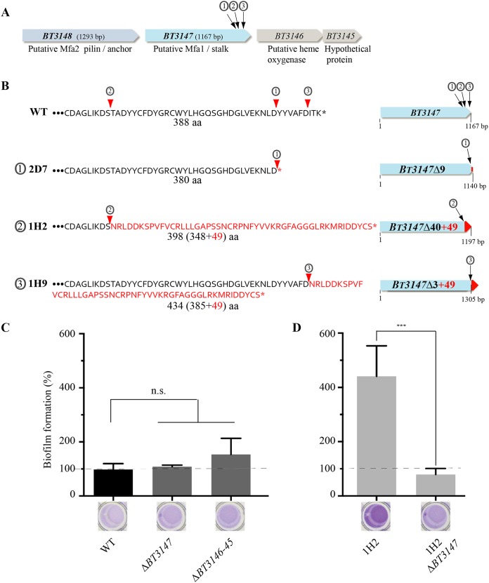 FIG 3