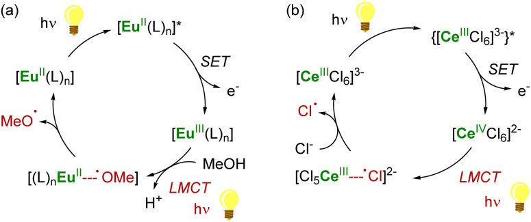 Scheme 7