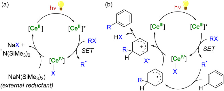 Scheme 6