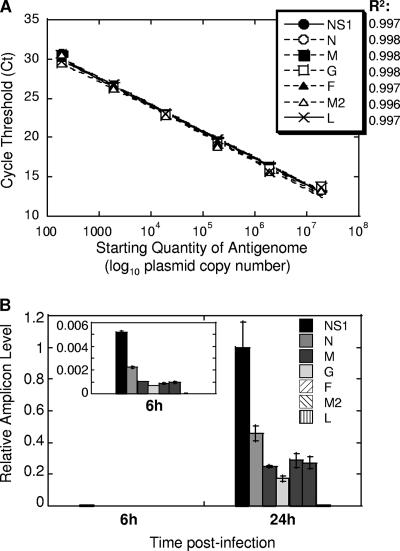 FIG. 1.