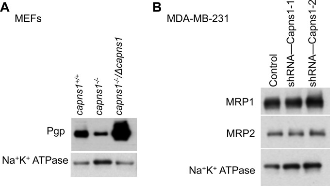 FIG 6