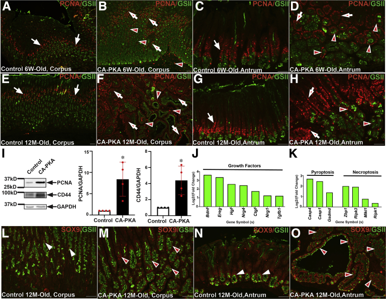 Figure 13