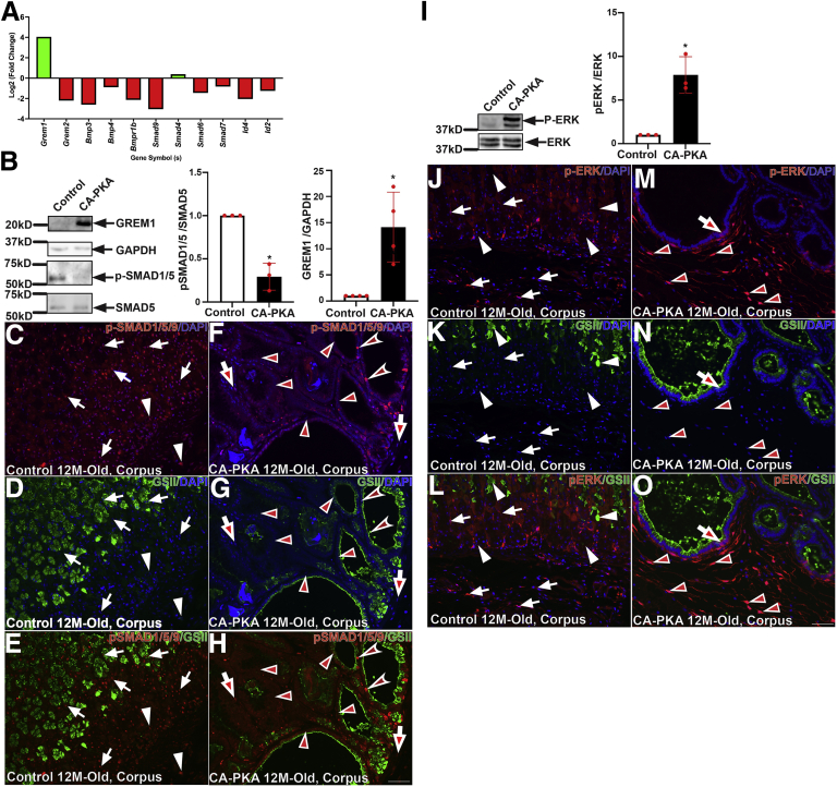 Figure 14