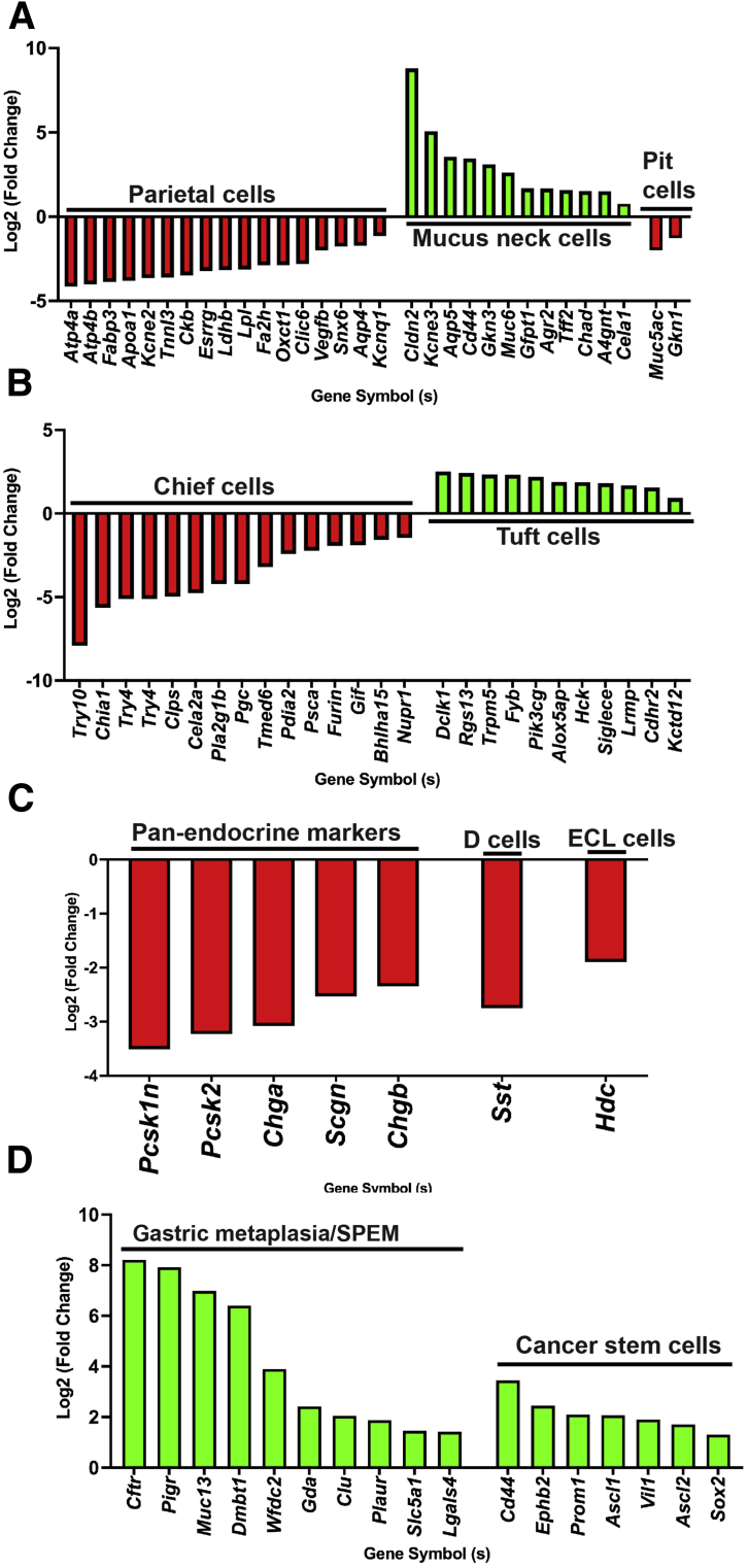 Figure 11