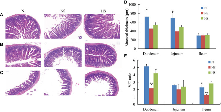 Figure 4