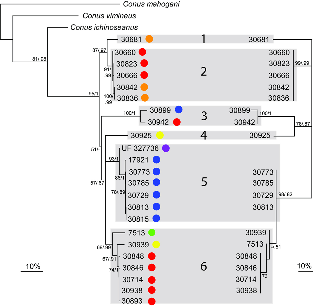 Fig. 3