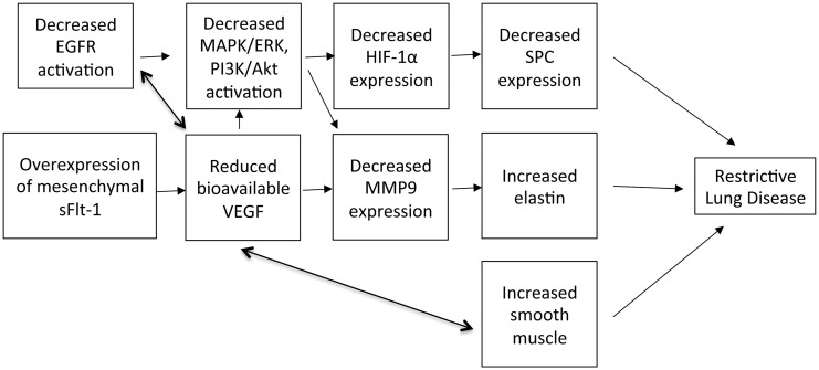 Fig 7