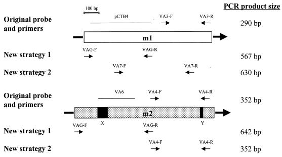 FIG. 1