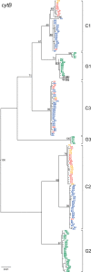 Fig. 2.