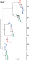 Fig. 4.