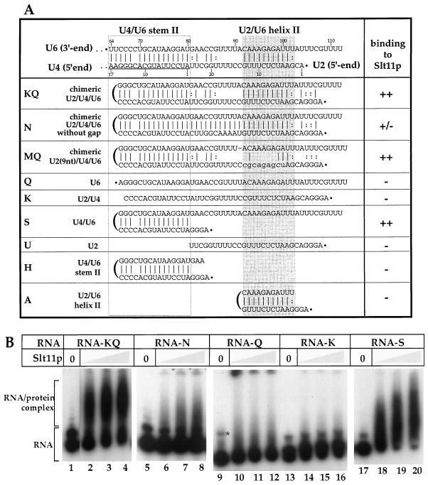 FIG. 4