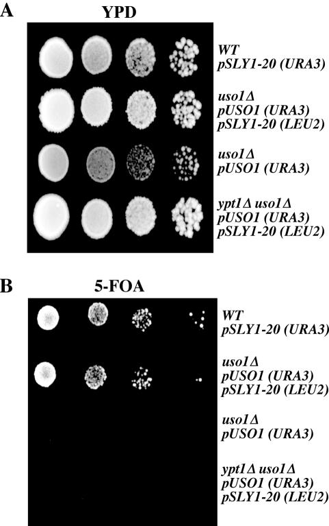 Figure 6.