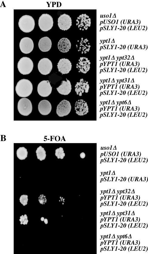 Figure 7.