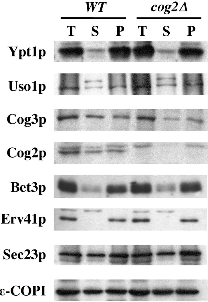 Figure 9.