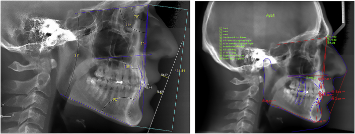 Figure 1