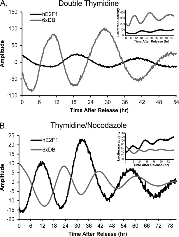 FIGURE 2: