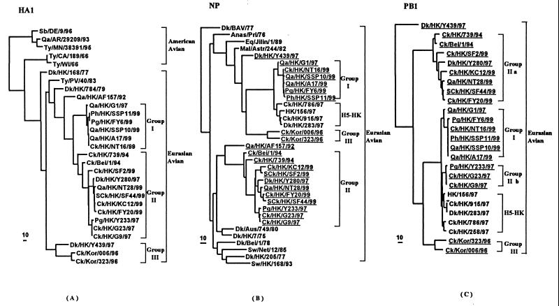 FIG. 1