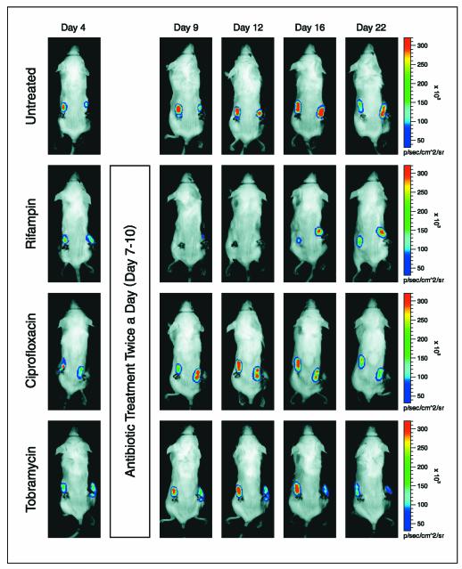 FIG. 2.