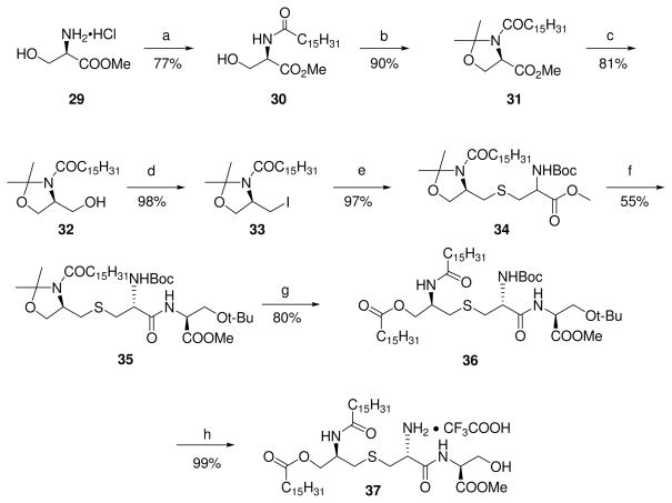 Scheme 5