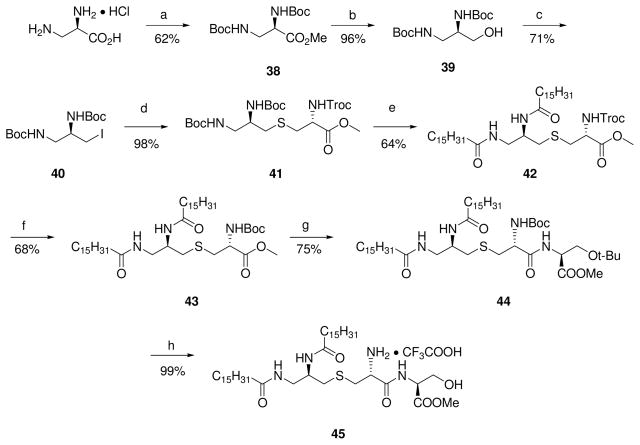 Scheme 6