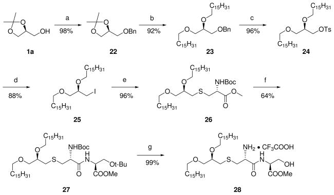 Scheme 4