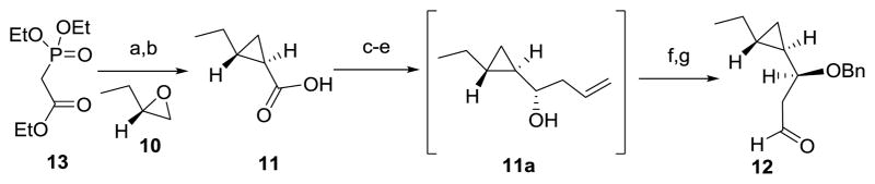 Scheme 2