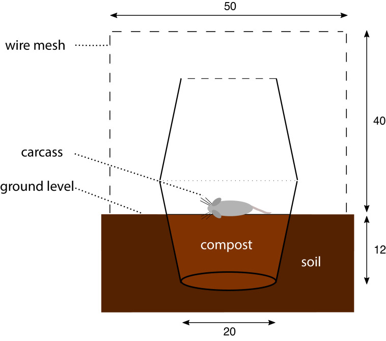 Figure 1—figure supplement 2.