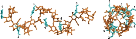 Fig. 3.