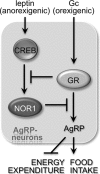 Fig 8