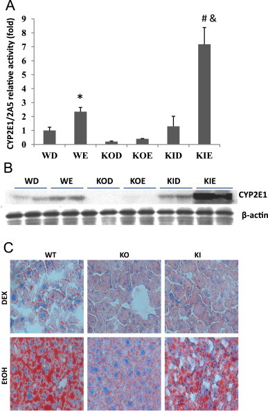 Fig. 4