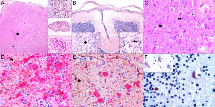 Fig 2