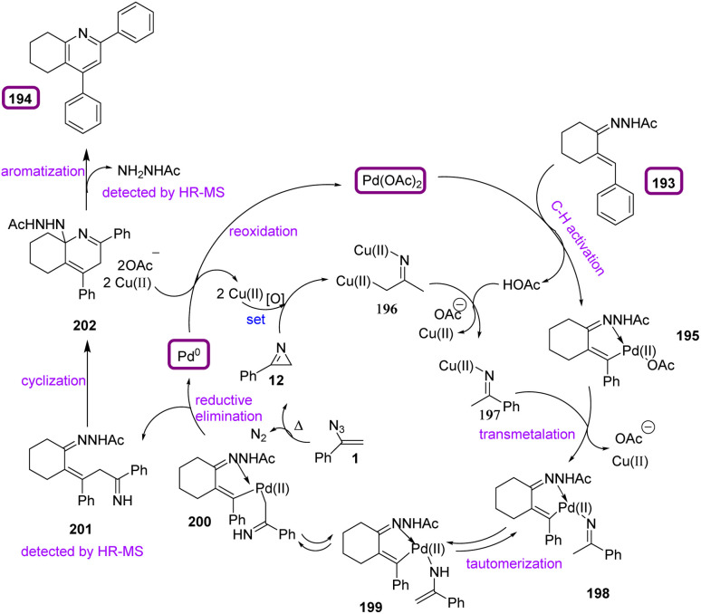 Scheme 56