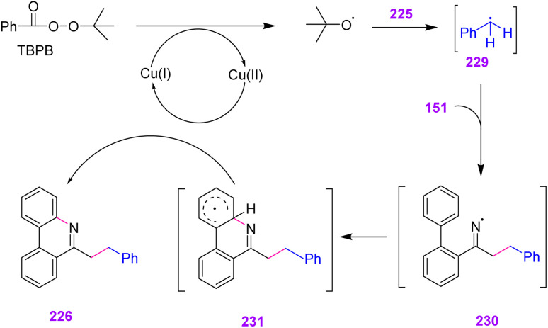 Scheme 64