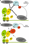 FIGURE 7.