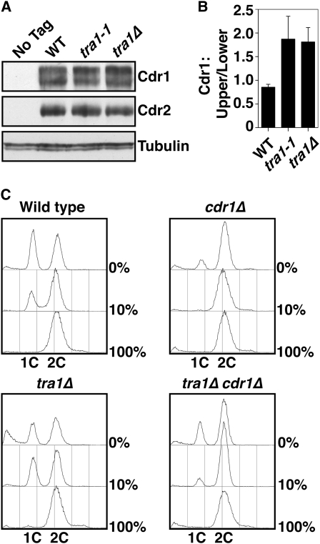 Figure 7.—