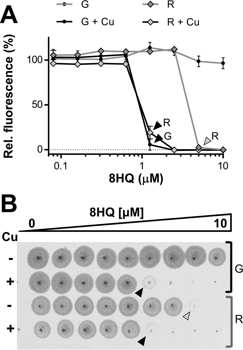 FIG 5