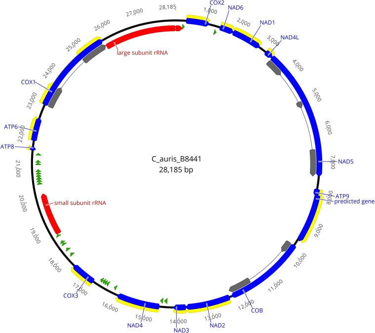 FIGURE 1