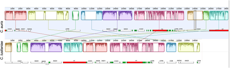 FIGURE 4