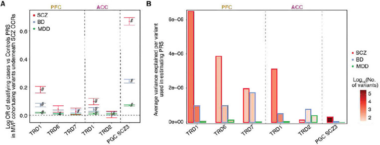 Figure 5: