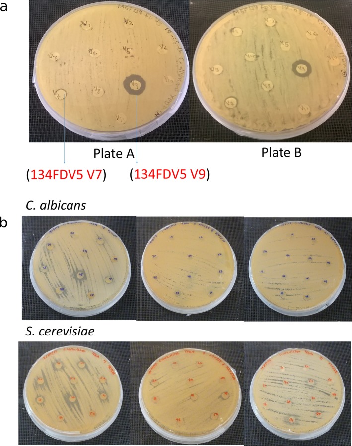 Fig. 2