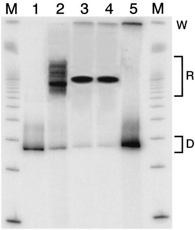 FIG. 5.