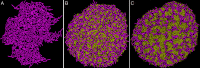 Fig. 10.