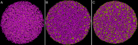Fig. 9.