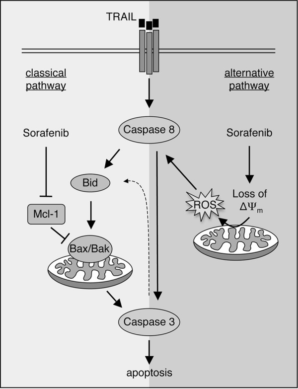 Figure 11.