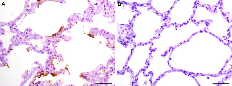 Figure 7