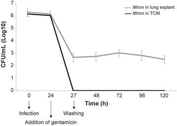 Figure 11