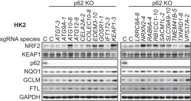 FIG 6