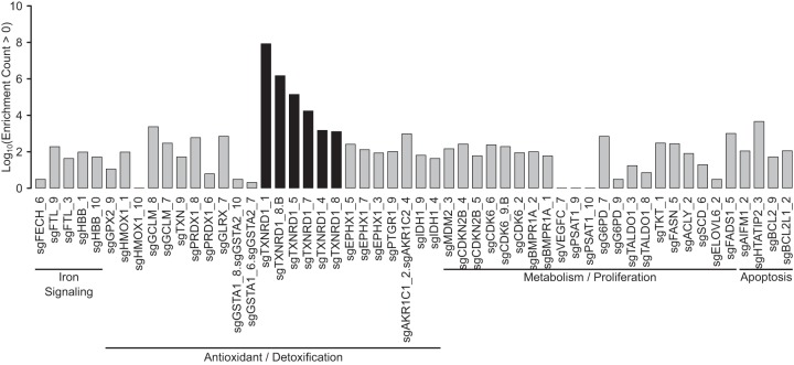 FIG 4